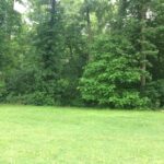 2603 Veterans Memorial Drive  Mt Vernon IL 62864