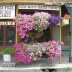5 MAIN Street  Alto Pass IL 62905