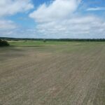 000 Lynchburg Road  Opdyke IL 62872