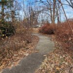 541 BLACK Avenue  Springfield IL 62702