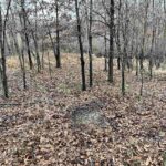 200 WEAVER Lane  Buncombe IL 62912