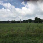 Lot 4 DOVE Lane  Eldorado IL 62930