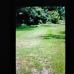 1600 and 1604 Mahoney Street  Eldorado IL 62930