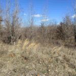 0000 ANTIOCH Road  West Frankfort IL 62896