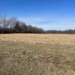 17225 Akin Blacktop Blacktop  Benton IL 62812