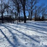 6512 WATERSTONE Way  Edwards IL 61526