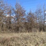 0000 ANTIOCH Road  West Frankfort IL 62896