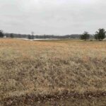 Lot 13 DOVE Lane  Eldorado IL 62930