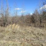 0000 ANTIOCH Road  West Frankfort IL 62896