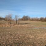 0000 New Hope Church Road  Benton IL 62812