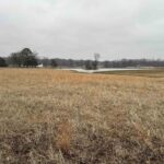 Lot 13 DOVE Lane  Eldorado IL 62930