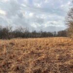 200 WEAVER Lane  Buncombe IL 62912