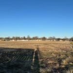 Lot 4 HARRIS Road  East Peoria IL 61611