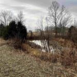200 WEAVER Lane  Buncombe IL 62912