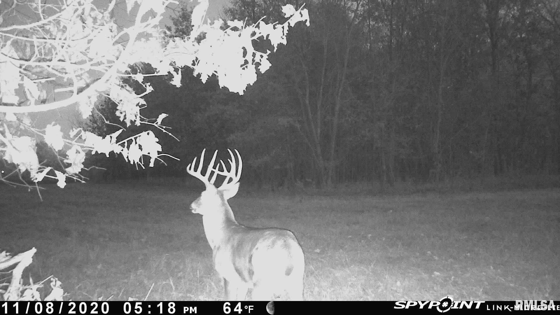 TBD ROME Road  West Frankfort IL 62896