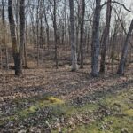 Lot 2 Whipporwill Road  Mt Vernon IL 62864