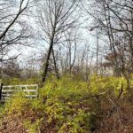 Lot 2 & 3 FLEISHER Road  Galesburg IL 61401