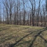 Lot 2 Whipporwill Road  Mt Vernon IL 62864