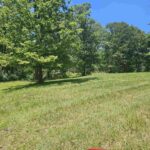 13815 ROBIN Road  Benton IL 62812