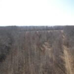 sandybend 0 Road  Rushville IL 62681