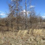 0000 ANTIOCH Road  West Frankfort IL 62896