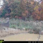 000 Propes Road  Iuka IL 62849