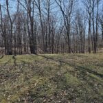 Lot 2 Whipporwill Road  Mt Vernon IL 62864