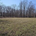 Lot 1 Whipporwill Road  Mt Vernon IL 62864