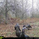 000 Propes Road  Iuka IL 62849