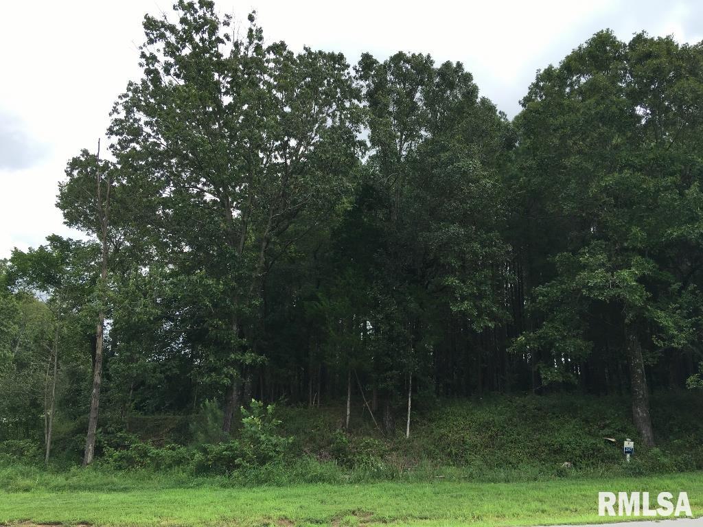 00 Parrish Ridge Lane  Goreville IL 62972