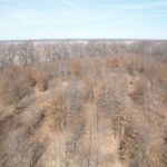 sandybend 0 Road  Rushville IL 62681