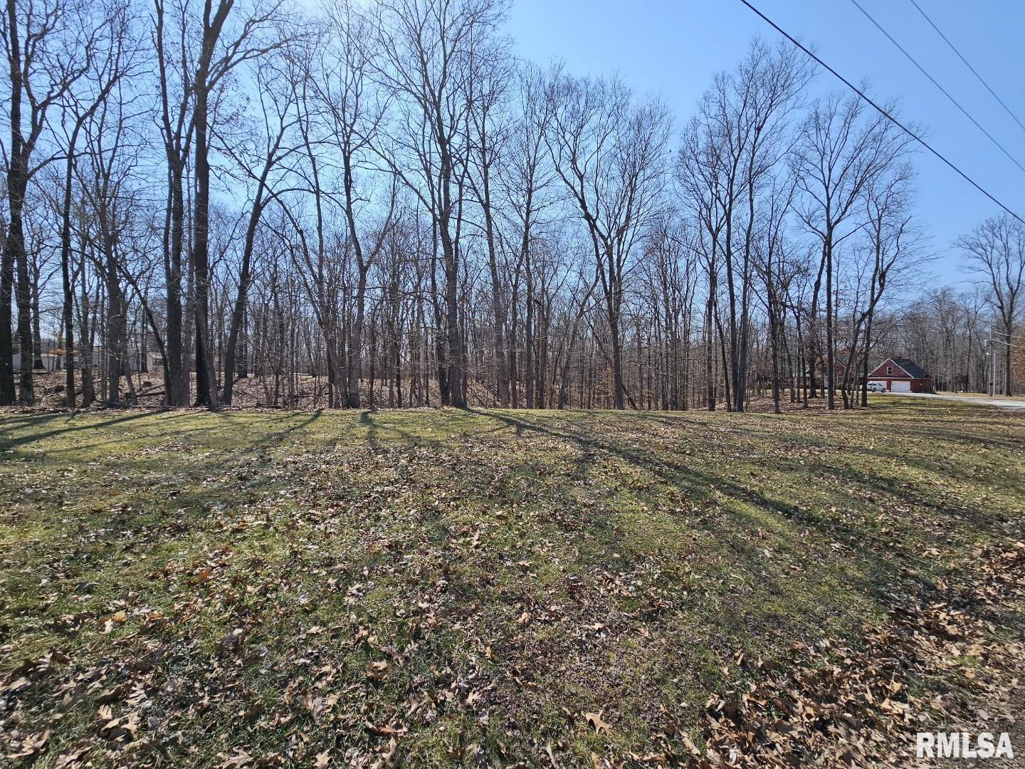 Lot 2 Whipporwill Road  Mt Vernon IL 62864