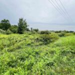 0000 COUNTY LINE Road  West Frankfort IL 62896