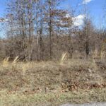 0000 ANTIOCH Road  West Frankfort IL 62896