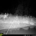 000 Propes Road  Iuka IL 62849