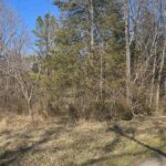 1966 MALLARD Lane  Carterville IL 62918