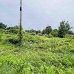 0000 COUNTY LINE Road  West Frankfort IL 62896