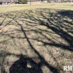244 12TH Avenue  Moline IL 61265