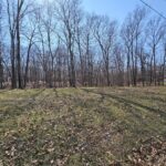 Lot 2 Whipporwill Road  Mt Vernon IL 62864