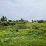 0000 COUNTY LINE Road  West Frankfort IL 62896