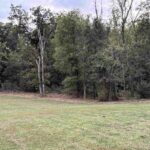 Lot 7 CEDAR HILLS Estates  Mt Vernon IL 62864