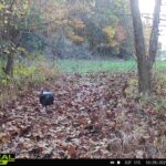 000 Propes Road  Iuka IL 62849
