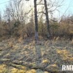 0000 Stone Lane  Mt Vernon IL 62864