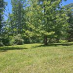 13815 ROBIN Road  Benton IL 62812