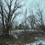 603 Vaux Street  Zeigler IL 62999
