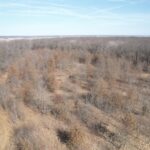 sandybend 0 Road  Rushville IL 62681
