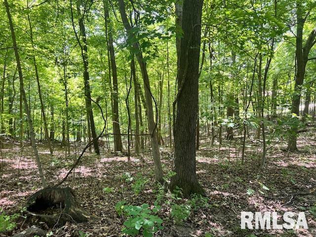 1367 FORREST Drive  Germantown Hills IL 61548