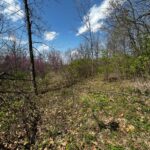 LOT 201 JAMES Street  Port Byron IL 61256