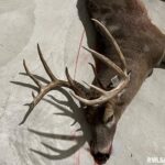7454 MIDWAY Road  Metropolis IL 62960