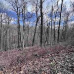 00 DEER RIDGE Road  Goreville IL 62939